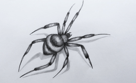 Sketch:B5mkfs1u4o0= Spider Drawing