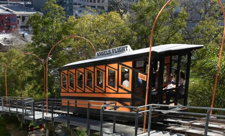 elevate online marketing platform