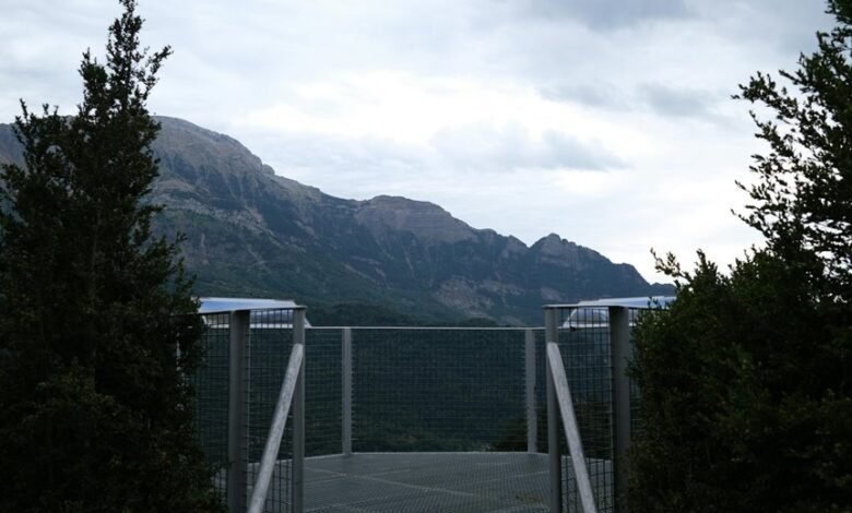 elevate services online platform