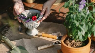 enhance growth with technology