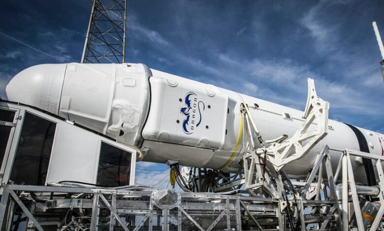 online service development platform